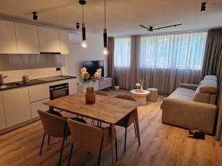 B Post Apartment , freshly renovated, top location near Interlaken - 1