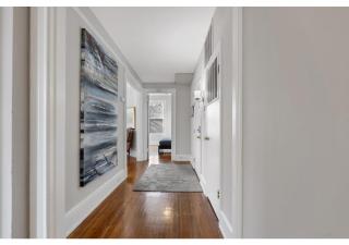 Spacious and Sunlit 2 Bedroom Near Eden Park - 3