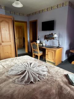 Hotel Marienstein Vogtland - 3