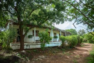 Mampuya Lodge Naturel au coeur de 49ha 1h30 de Dakar - 3