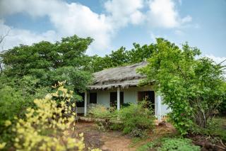 Mampuya Lodge Naturel au coeur de 49ha 1h30 de Dakar - 0