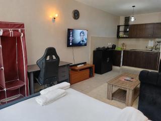 Furnished Studio- Ongata Rongai with Swimming pool - Legatus Homes - 9