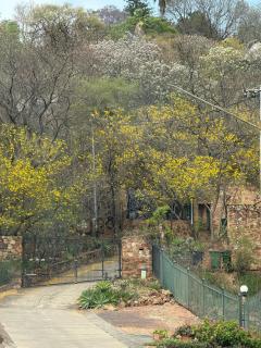 The Shed - Since 1935 Hideaway - 5