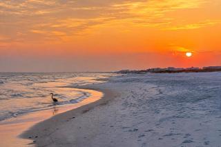 Bristol 2003-Gorgeous Beachfront Condo in Resort- 4bd45 bath - Sleeps 13 - 0