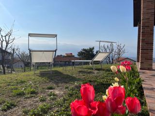 Il Girasole Apartments - Langhe - 7