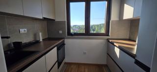 Apartman Dinić Zlatibor - 1