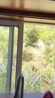 Cozy with Views - 6