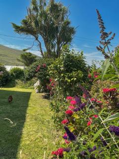 Gleann Loic Farmhouse - 9