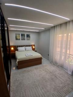 Luxury Retreat in Sheikh Zayed, Pool & Gym access - 3