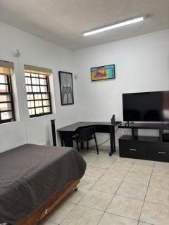 Loft 0 with 2 beds near Fundidora and Cintermex - 1