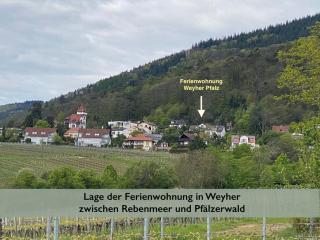 Ferienwohnung Fernblick Pfalz - mit Sauna - Weyher - 7