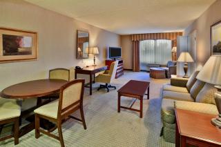 Holiday Inn Hotel & Suites Ann Arbor University of Michigan Area by IHG - 5