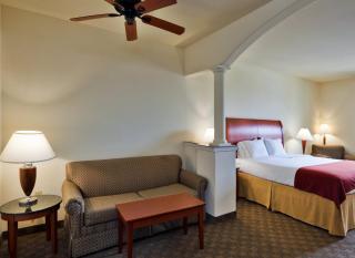 Holiday Inn Express Hotel and Suites Fairfield-North by IHG - 4