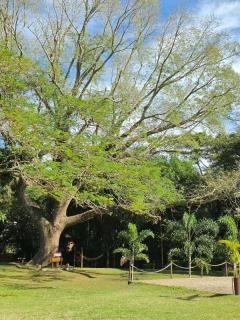 Pousada Rainha da Mata - 6