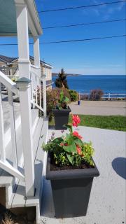Oceanfront Classic Maine Cottage In Close Walking Distance To Beaches! - 6