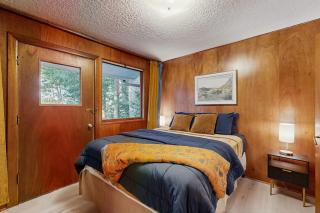 Forest Hideaway - 0