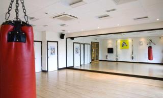 Holiday Inn London-Shepperton by IHG - 8