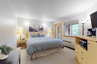 Aspen Suites 506: The Nest - 0