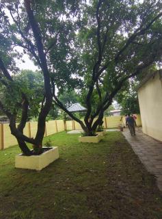 Acrobat Home Stay-Elegant Villa - 7