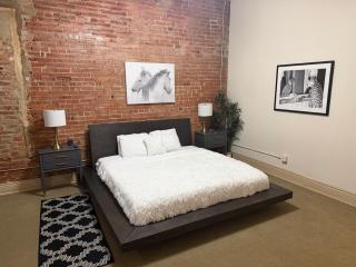 The Safari Unit 2 Downtown Loft Sleeps 4 - 7