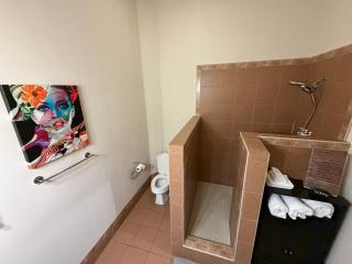 The Safari Unit 2 Downtown Loft Sleeps 4 - 5