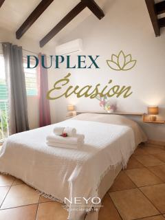 Le Tulipier Duplex - 7