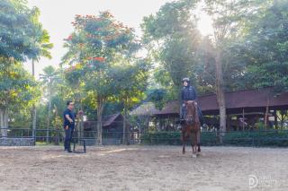 Ratu Roso Resort - 2