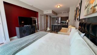 Amazing Studio Located in Upscale-Prime Location. Walking Distance to Restaurant - 4