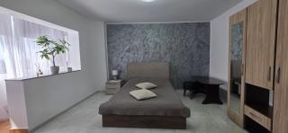 Studio Central Brancusi - 0