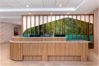 Hampton Inn & Suites Cadillac - 8