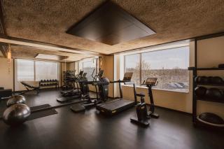 Maison Heler Metz, Curio Collection By Hilton - 3