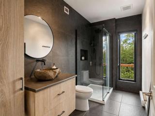 Whiskey Mountain Spa fireplace and forest - 4