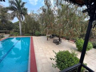 Mango Grove - 0
