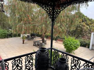 Mango Grove - 8