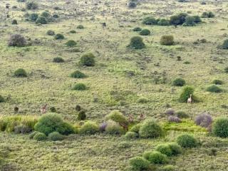 The Safari view Gateway 10 Min JKIA 5 Min SGR - 9
