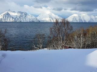 4 star holiday home in Olderdalen - 8