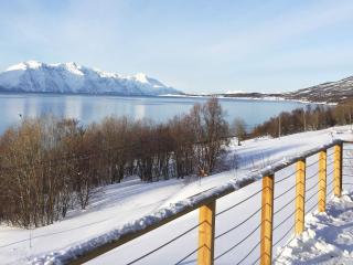 4 star holiday home in Olderdalen - 9