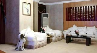 Economic Trade Hotel - 1
