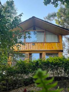 Mud and Wooden Cabin - 2