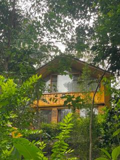 Mud and Wooden Cabin - 3
