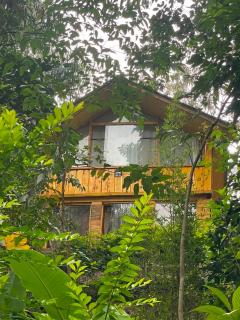 Mud and Wooden Cabin - 0