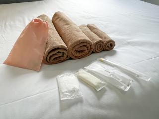 SC Hotel Kameari #1108 - Newly Renovated High Floor City View Near Station Mall Disney Access - 2
