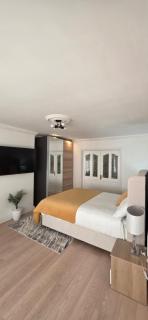 Large bedroom - 7