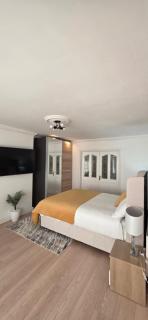 Large bedroom - 1