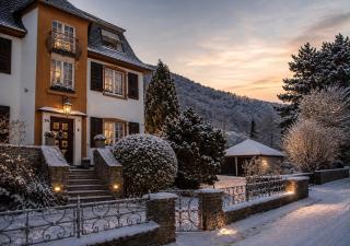 Villa Ardoise direkt an der Mosel zwischen Cochem und Koblenz - 9
