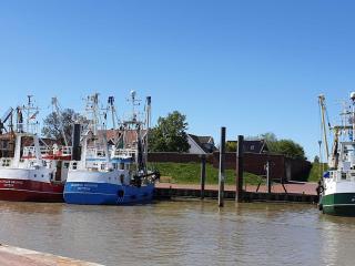 Ferienwohnungen Meerhuus_ 45229 - 6