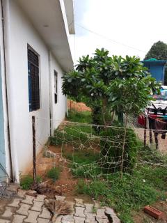 Babuji KL Singh and Sons Homestay - 4