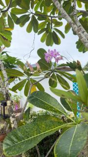 Lucky Hours Pool Villa, Aonang Soi 1 - 6