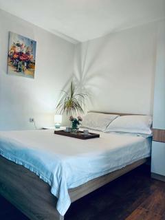 Spacious apartment with a Mountain view, big balcony and parking - 4