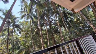 Rooms in Canacona - 2